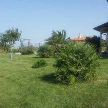 Bed and Breakfast Colle Selvotta Vasto - Garden