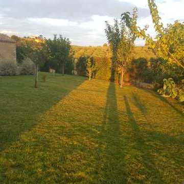 Bed and Breakfast Colle Selvotta Vasto - Il giardino