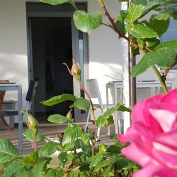 Bed and Breakfast Colle Selvotta Vasto - Il giardino