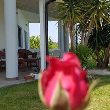 Bed and Breakfast Colle Selvotta Vasto - Il giardino