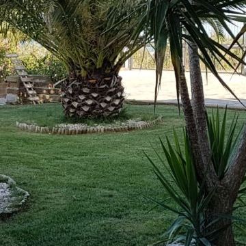 Bed and Breakfast Colle Selvotta Vasto - Il giardino
