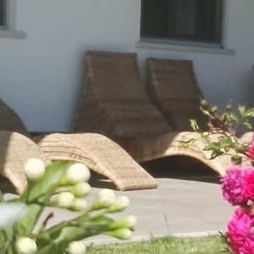 Bed and Breakfast Colle Selvotta Vasto - Il giardino