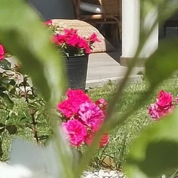 Bed and Breakfast Colle Selvotta Vasto - Il giardino