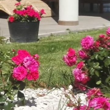 Bed and Breakfast Colle Selvotta Vasto - Il giardino