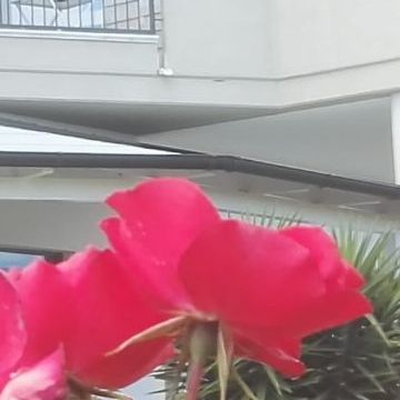 Bed and Breakfast Colle Selvotta Vasto - Il giardino