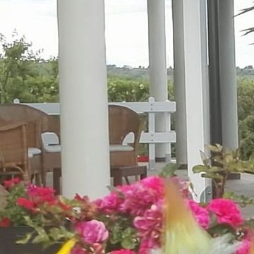Bed and Breakfast Colle Selvotta Vasto - Il giardino