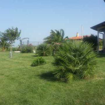 Bed and Breakfast Colle Selvotta Vasto - Il giardino