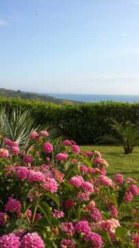 Bed and Breakfast Colle Selvotta Vasto - Il giardino