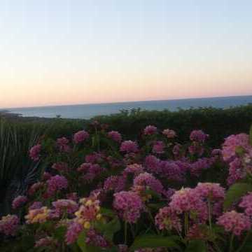 Bed and Breakfast Colle Selvotta Vasto - Il panorama
