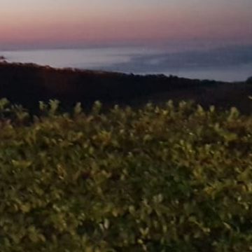 Bed and Breakfast Colle Selvotta Vasto - Il panorama
