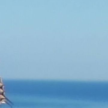 Bed and Breakfast Colle Selvotta Vasto - Il panorama