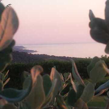 Bed and Breakfast Colle Selvotta Vasto - Il panorama