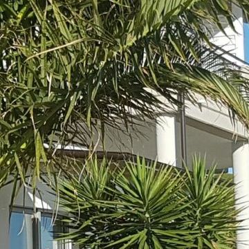 Bed and Breakfast Colle Selvotta Vasto - La struttura esterna
